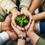 Measuring the Real Impact of CSR Volunteering: A Practical Framework